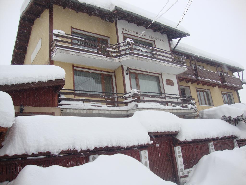 Guest House Planinski Zdravets Bansko Exterior photo